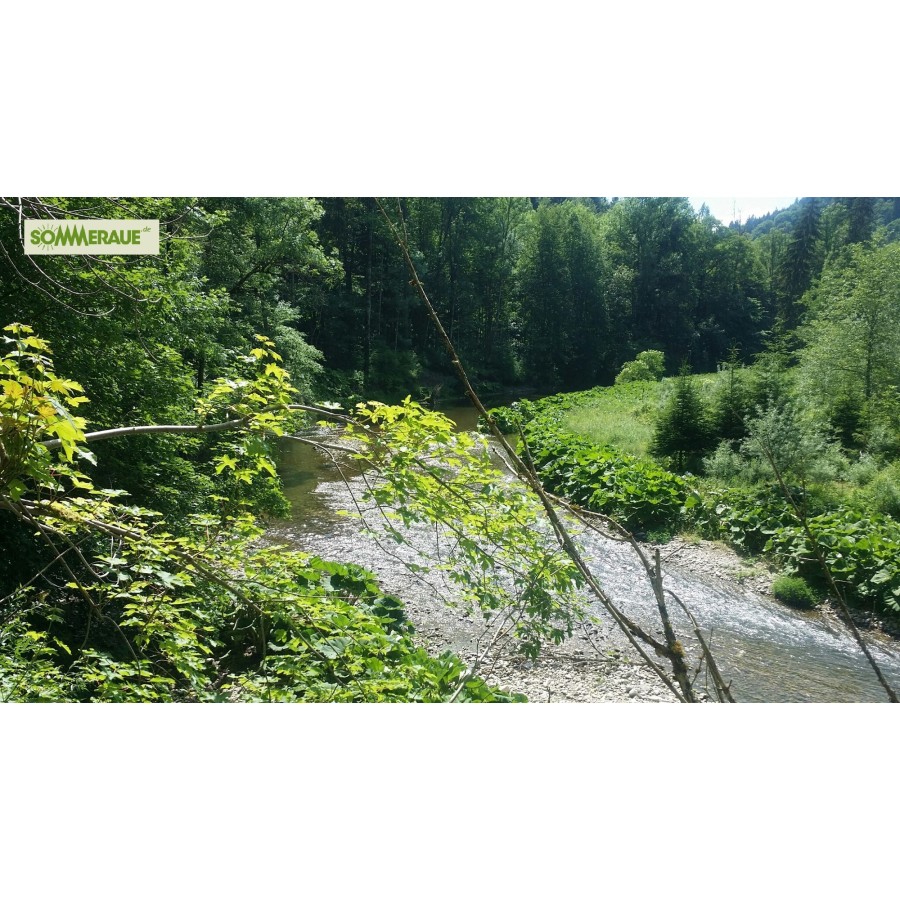 SOMMERAUE.de-Baumstamm-gartenmoebel-Tisch-4