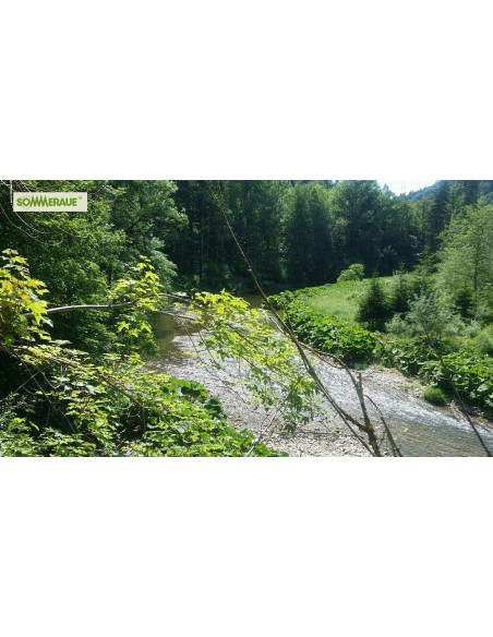 SOMMERAUE.de-Baumstamm-gartenmoebel-Tisch-4