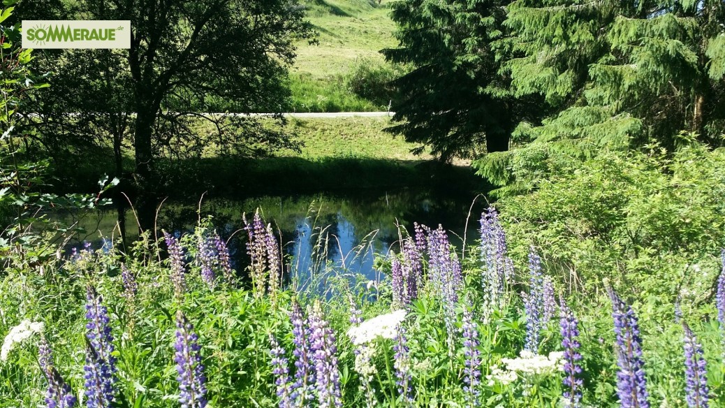 SOMMERAUE.de-Baumstamm-gartenmoebel-grosse-Sitzbank-2