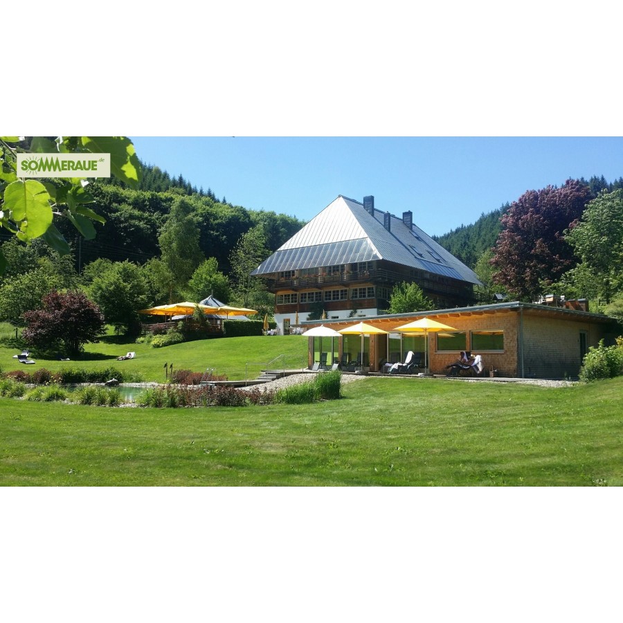 SOMMERAUE.de-Baumstamm-gartenmoebel-Garnitur-10