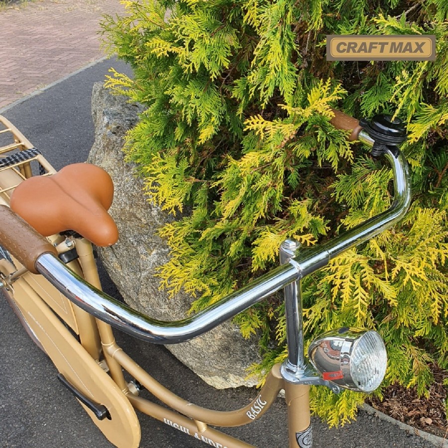 Hollandrad-26-Zoll-Damen-Fahrrad-im-Retro-Design-2