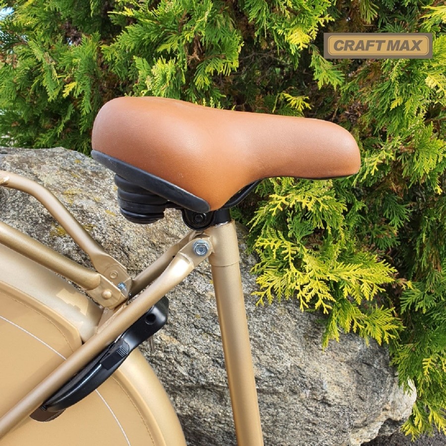 Hollandrad-26-Zoll-Damen-Fahrrad-im-Retro-Design-3