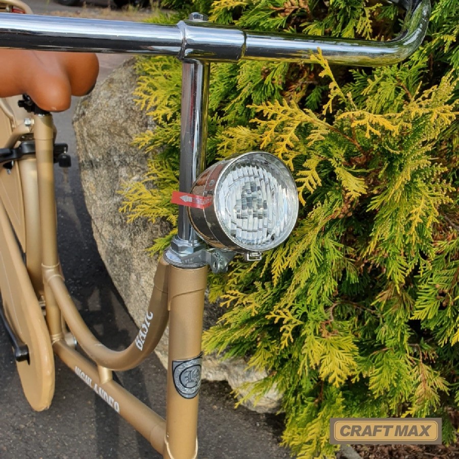 Hollandrad-26-Zoll-Damen-Fahrrad-im-Retro-Design-9