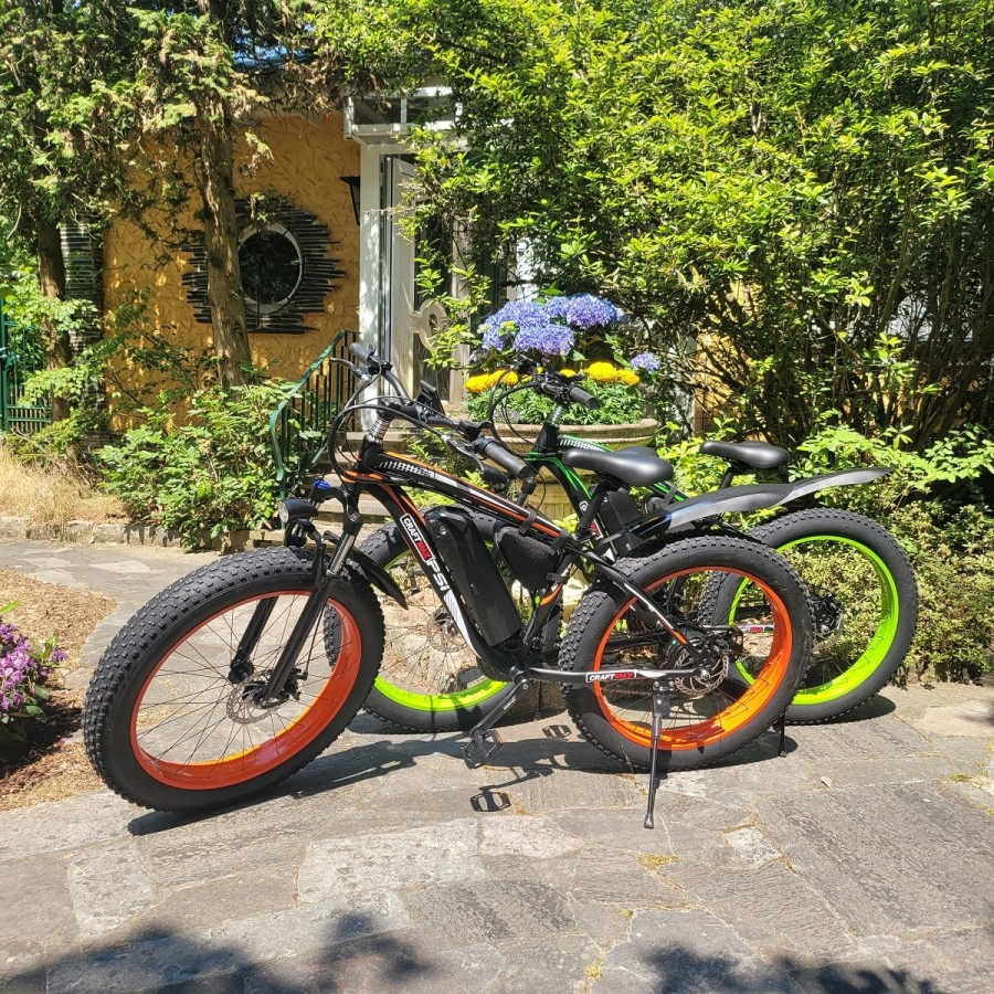 fatboy-Elektrofahrrad-Mountainbike-26-E-Bike-mit-48V-17Ah1000W-Lithium-Akku-und-Shimano-21-Gang-2