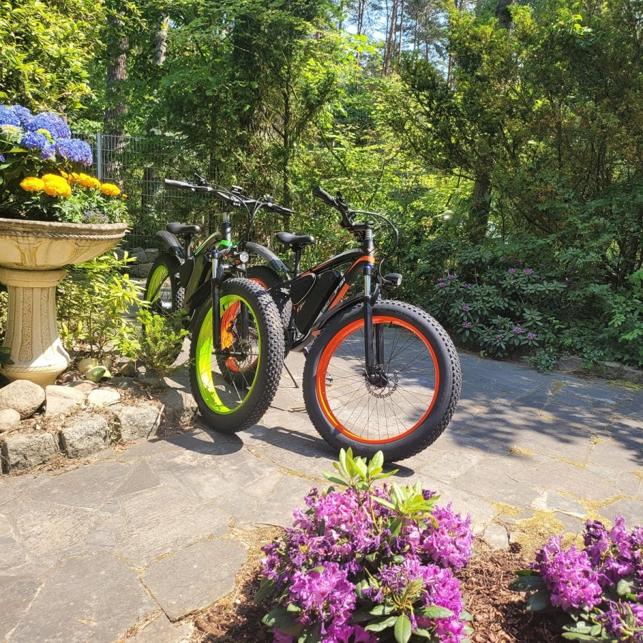 fatboy-Elektrofahrrad-Mountainbike-26-E-Bike-mit-48V-17Ah1000W-Lithium-Akku-und-Shimano-21-Gang-3