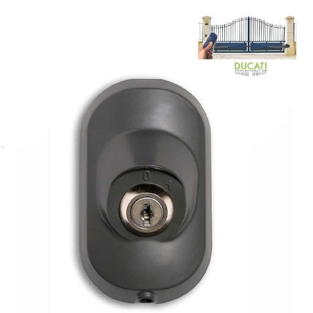 DUCATI-Homeautomation-Set-SW7000-2-fluegeliger-elektrischer-Torantrieb-6