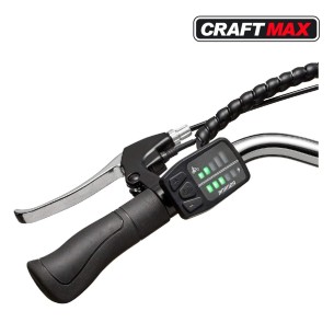 CRAFTMAX-Teutouburg-Citybike-leicht-Elektrofahrrad-28-Zoll-7-Gang-Shimano-Kettenschaltung-250W-104-36-V-Lithium-Ionen-Akku-Schwa 2