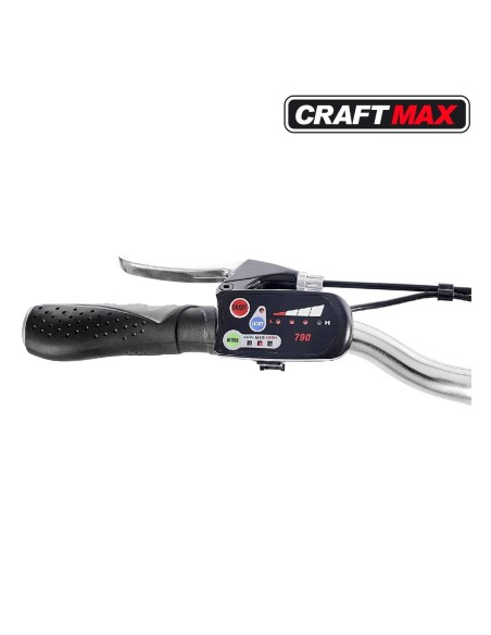 CRAFTMAX-Teutouburg-Citybike-leicht-Elektrofahrrad-28-Zoll-7-Gang-Shimano-Kettenschaltung-250W-104-36-V-Lithium-Ionen-Akku-Schwa