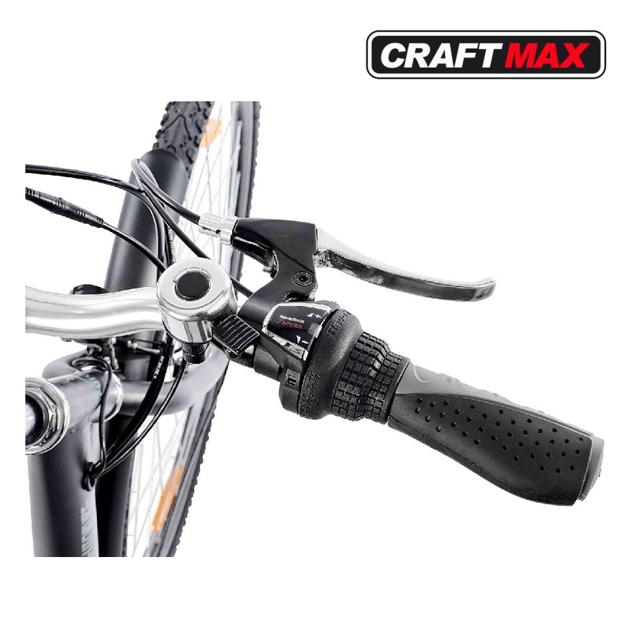 CRAFTMAX-Teutouburg-Citybike-leicht-Elektrofahrrad-28-Zoll-7-Gang-Shimano-Kettenschaltung-250W-104-36-V-Lithium-Ionen-Akku-Schwa