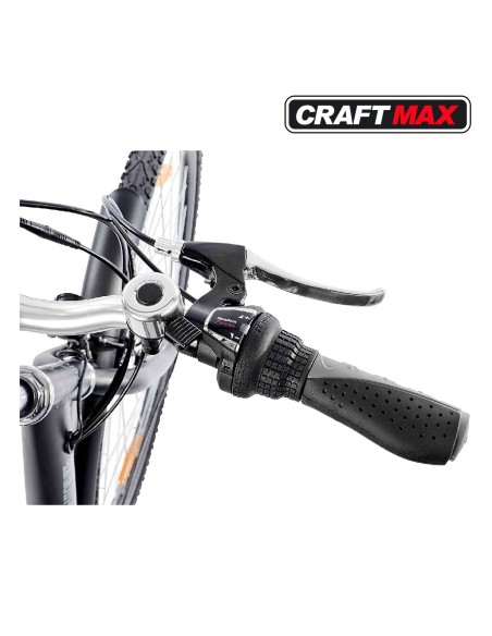 CRAFTMAX-Teutouburg-Citybike-leicht-Elektrofahrrad-28-Zoll-7-Gang-Shimano-Kettenschaltung-250W-104-36-V-Lithium-Ionen-Akku-Schwa