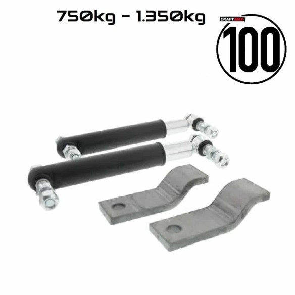 750-1350kg-Rad-Stossfaenger-100-kmh-Zulassung-Einachs-PKW-Anhaenger