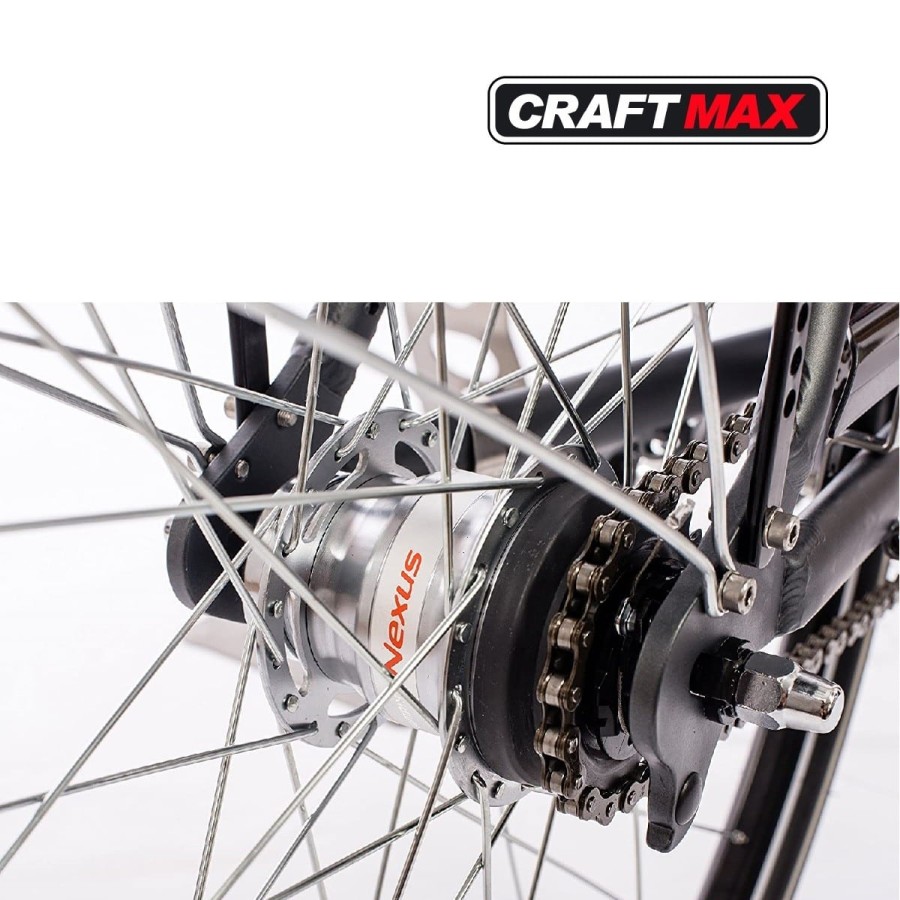 CRAFTMAX-Telemax-Pedelec-E-Bike-Citybike-28-Damen-Cityrad-250W-Motor-36V-13Ah-Shimano-7-Gang-Nabenschaltung-Ruecktritt-3-1