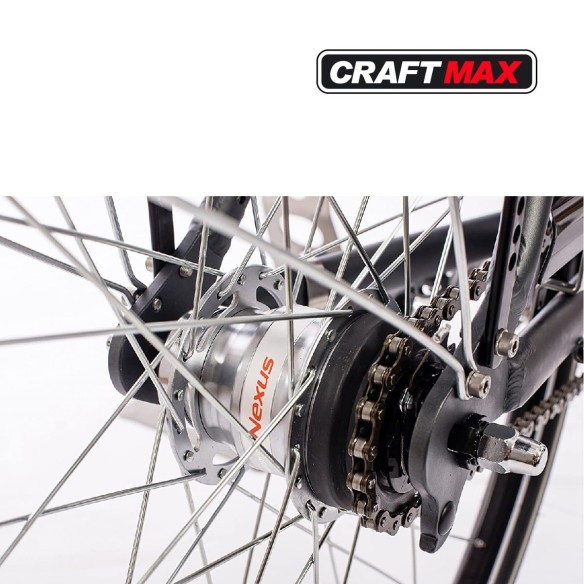 CRAFTMAX-Telemax-Pedelec-E-Bike-Citybike-28-Damen-Cityrad-250W-Motor-36V-13Ah-Shimano-7-Gang-Nabenschaltung-Ruecktritt-3-1