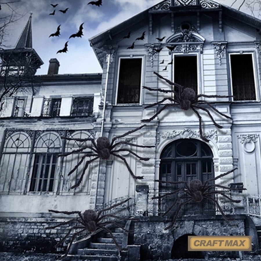 Dracula-Spinne