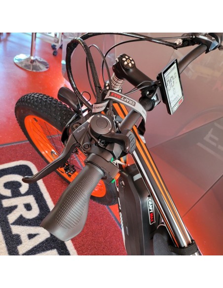 fatboy-Elektrofahrrad-Mountainbike-26-E-Bike-1000Watt-Motor-48V17Ah-Lithium-Akku-Shimano-21-Gang-ORANGE-5