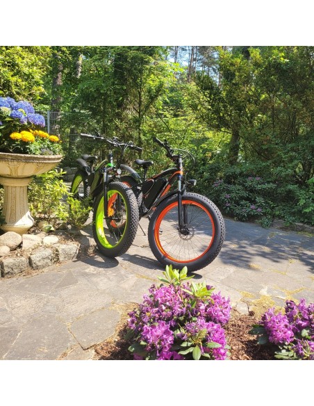 fatboy-Elektrofahrrad-Mountainbike-26-E-Bike-mit-48V-17Ah1000W-Lithium-Akku-und-Shimano-21-Gang-1