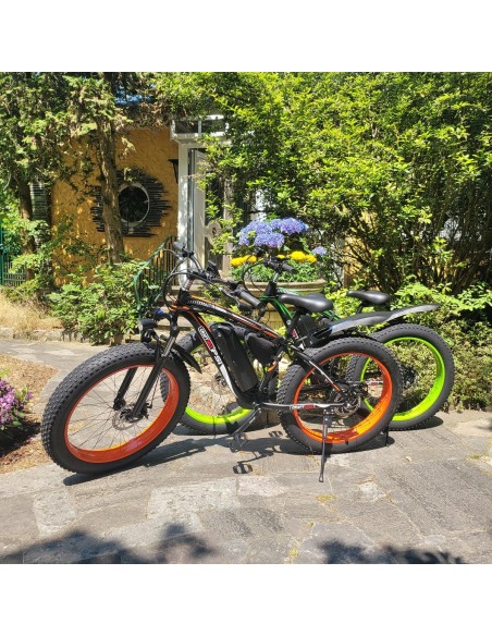 fatboy-Elektrofahrrad-Mountainbike-26-E-Bike-mit-48V-17Ah1000W-Lithium-Akku-und-Shimano-21-Gang-2