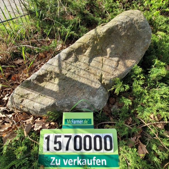 Eiszeit-Findling-000-3