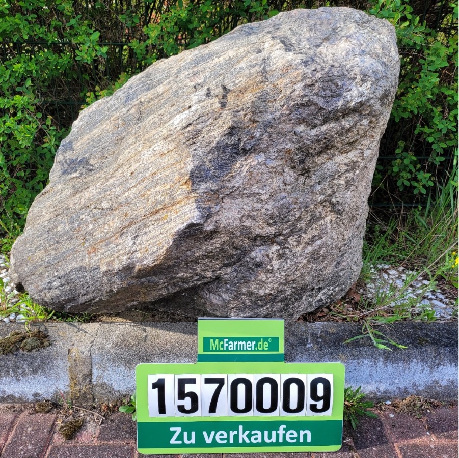 Eiszeit-Findling-001-20