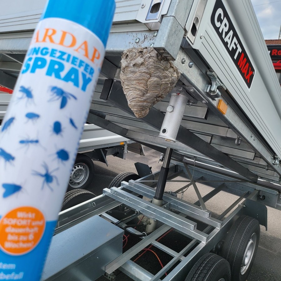 ARDAPT-Anti-Hornissen-Spray-freiverkaeuflich