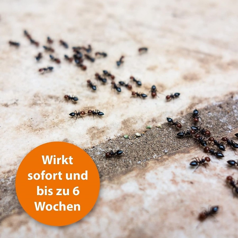 ARDAPT-Insekten-ameisen-Wespen-Vernichter-Spray-freiverkaeuflich-3