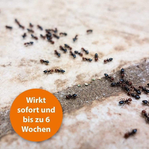 ARDAPT-Insekten-ameisen-Wespen-Vernichter-Spray-freiverkaeuflich-3