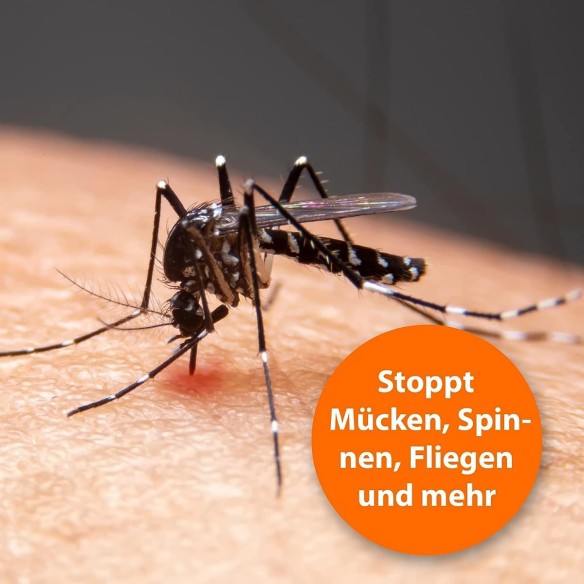 ARDAPT-Insekten-ameisen-Wespen-Vernichter-Spray-freiverkaeuflich-4