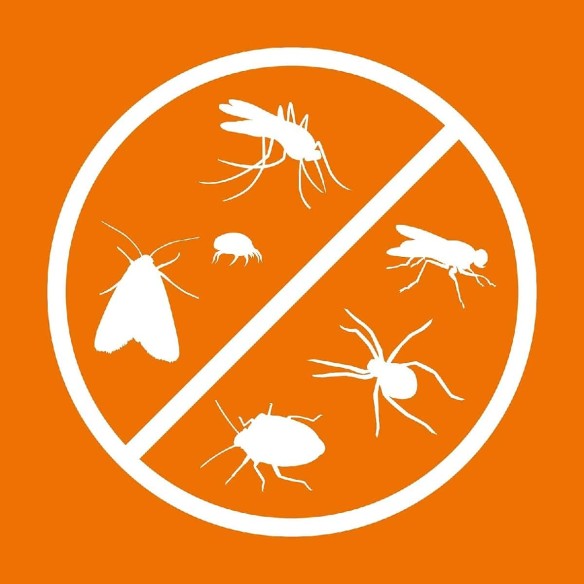 ARDAPT-Insekten-ameisen-Wespen-Vernichter-Spray-freiverkaeuflich-2