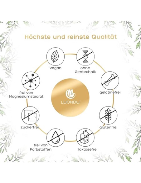 MSM-2000mg-mit-Vitamin-C-pro-Tagesdosis-MSM-Schwefel-Tabletten-365-Tabletten-Hochdosiert-Vegan-2