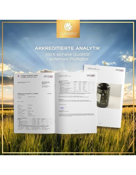 MSM-2000mg-mit-Vitamin-C-pro-Tagesdosis-MSM-Schwefel-Tabletten-365-Tabletten-Hochdosiert-Vegan-5