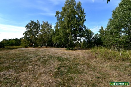 Photovoltaik-Solar-Park-zu-mieten-pachen 2