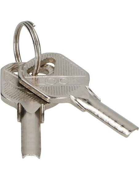 See-Containersicherung-gehaerteter-Stahl-mit-Sicherheitsschloss-Stahlschutzkappe-2