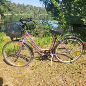RAGAZZI-Damenrad-violett-59-Euro-kaufen-1 2