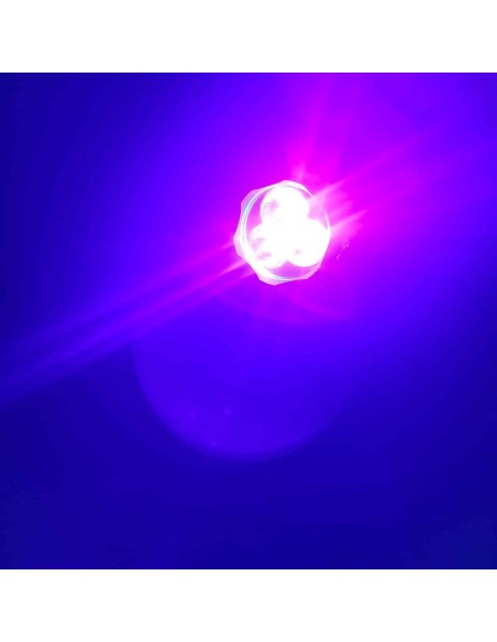 Kunstfaelschungen-mit-UV-Lampe-entlarven-3