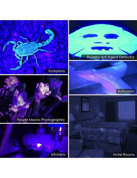 Kunstfaelschungen-mit-UV-Lampe-entlarven-2