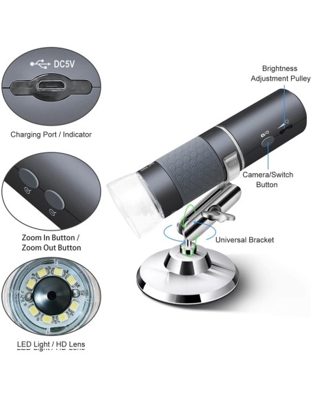 Kunstfaelschungen-mit-UV-Lampe-entlarven-1