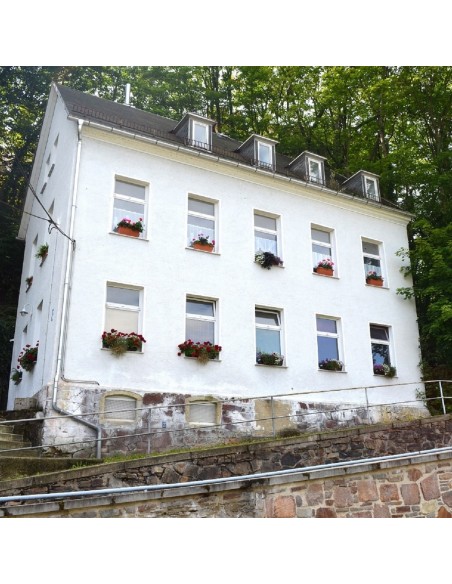 Mehrfamilienaus-am-Schlossberg-in-Glauchau-zu-verkaufen