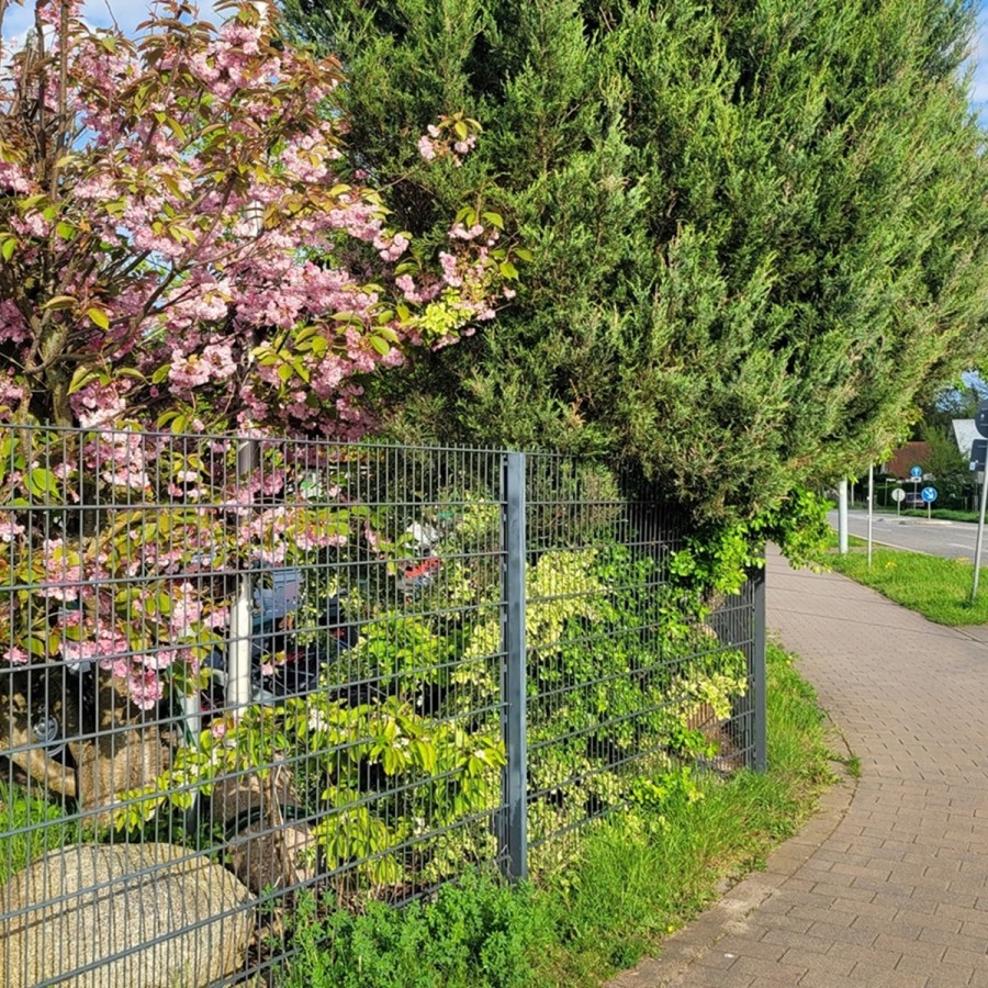 Wohnmobilstellplatz-Koenigs-Wusterhausen-8