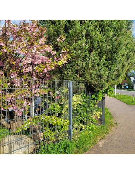Wohnmobilstellplatz-Koenigs-Wusterhausen-8