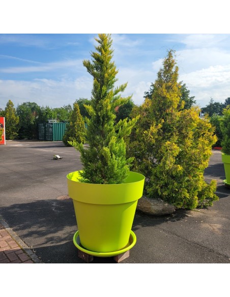 der-groesste-Blumentopf-fuer-innen-und-aussen-Frostsicher-fuer-Pflanzen-Straeucher-und-Baeume-2