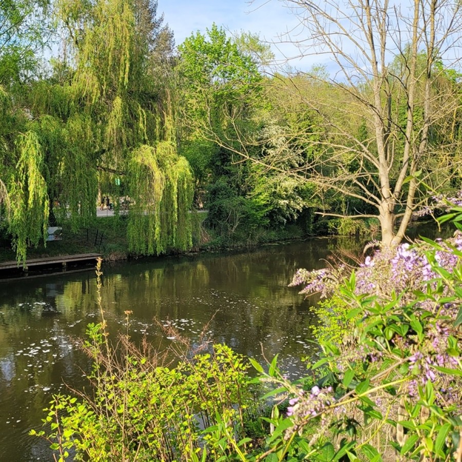 Reisemobilstellplaetze-Koenigs-Wusterhausen-Dahme1