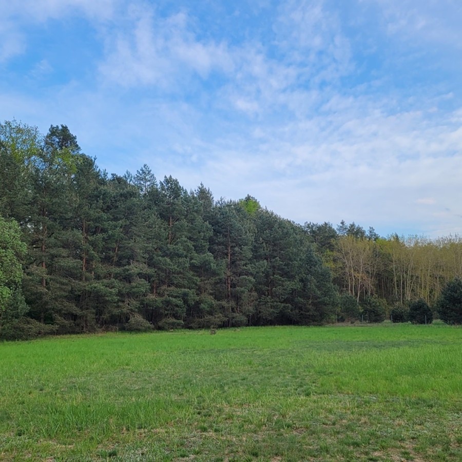 Reisemobilstellplaetze-Koenigs-Wusterhausen-Streuobstwiese1
