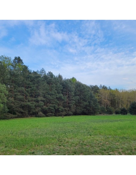 Reisemobilstellplaetze-Koenigs-Wusterhausen-Streuobstwiese1