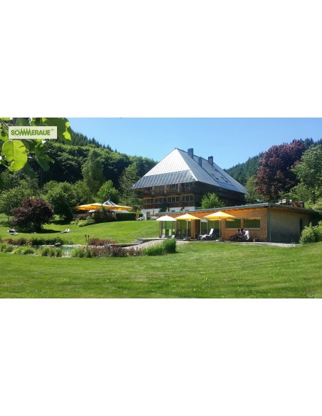 SOMMERAUE-Baumstamm-Sitzgarnitur-aus-Massivholz-4-teilig-2