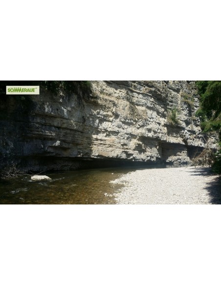 SOMMERAUE-Baumstamm-Sitzgarnitur-aus-Massivholz-4-teilig-6