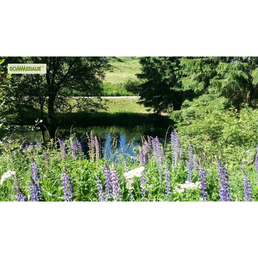 SOMMERAUE.de-Baumstamm-gartenmoebel-Naturparadies-4
