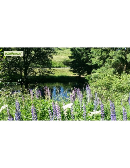 SOMMERAUE.de-Baumstamm-gartenmoebel-Naturparadies-4
