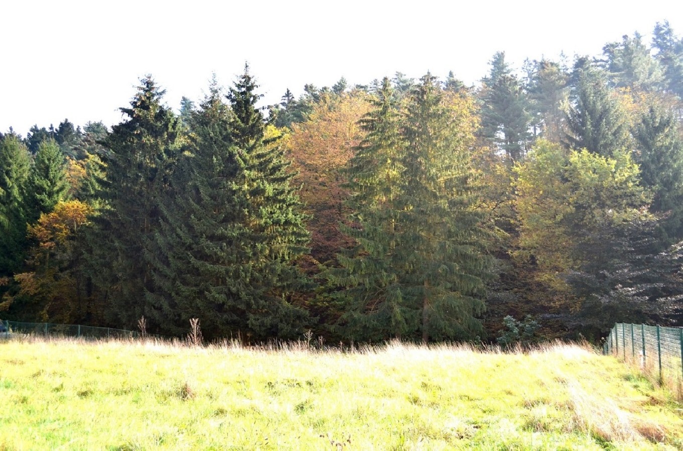 Renditeobjekt-vermietetes-Mehrfamilienhaus-in-Gruenenplan-zu-verkaufen-12