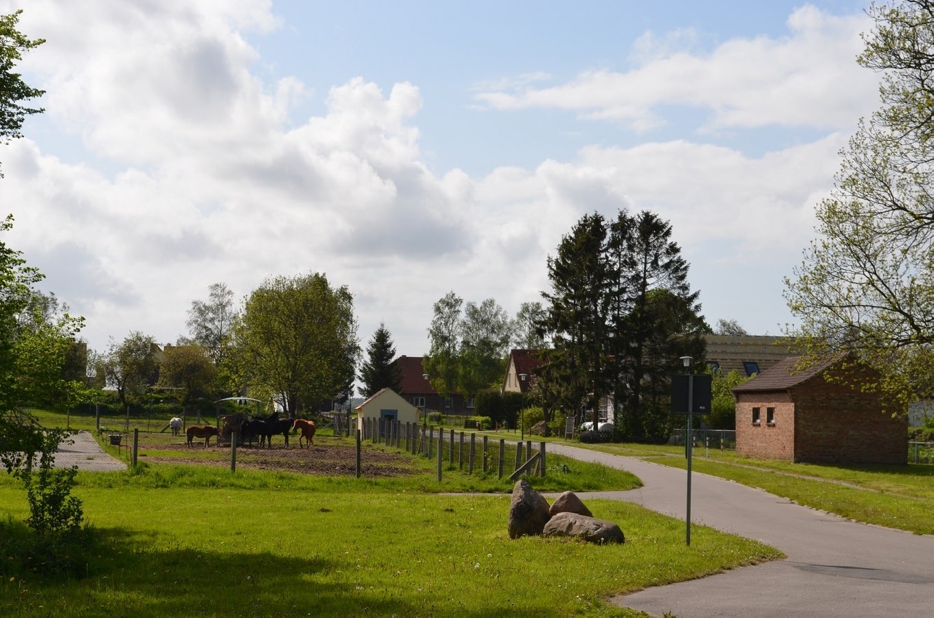 KNEESE-Foto-8