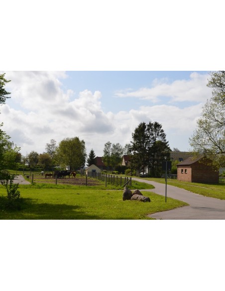 KNEESE-Foto-8